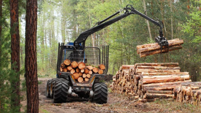 The Carbon Footprint of Global Wood Harvests