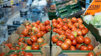 Tomato Grand Challenge Hackathon