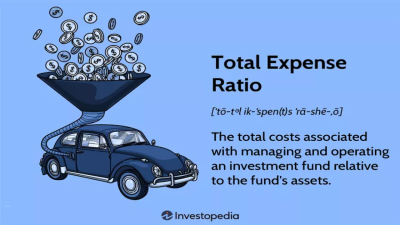 Total Expense Ratio (TER)