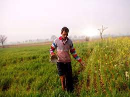 Urea Gold