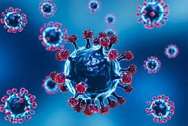 MERS Coronavirus