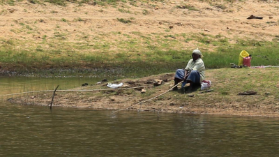 Vriksha Samridhi, Matsya Samridhi Project
