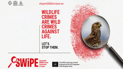 Wildlife Crime Prosecution in Europe