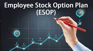 Employee Stock Option Plan