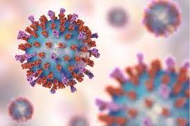 Respiratory Syncytial Virus (RSV)