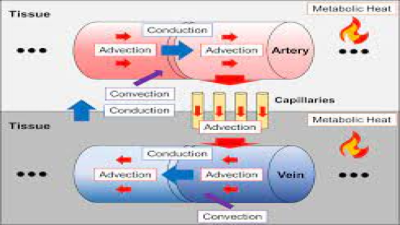 Advection as a Source of Heat Transfer