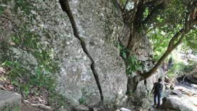 Biological Weathering: Detailed