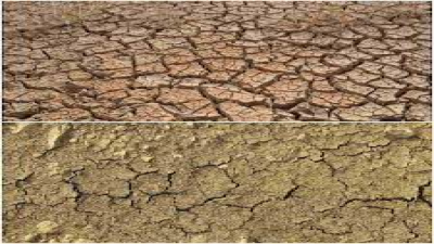 Causes of Soil Degradation