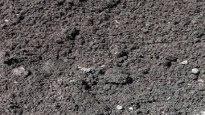 Clayey Soil (Soil Type)