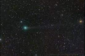 Comet C/2023 P1