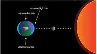 Daily Frequency of Tides