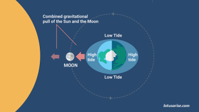Duration & Frequency of Daily Tides