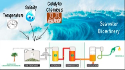 Factors Affecting Salinity of Water