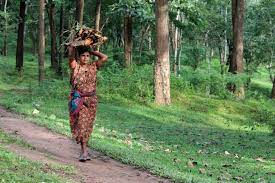 Global Biodiversity Framework Fund (GBFF)