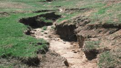 Gully Erosion
