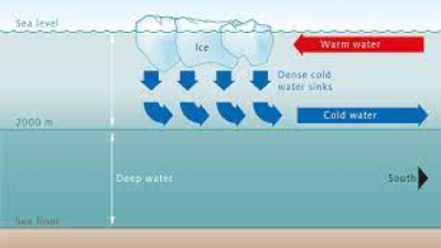 Impact of Salinity on Ocean Currents