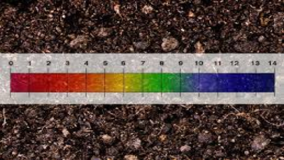Increasing & Decreasing Soil pH