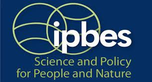 Intergovernmental Science-Policy Platform on Biodiversity and Ecosystem Services (IPBES)