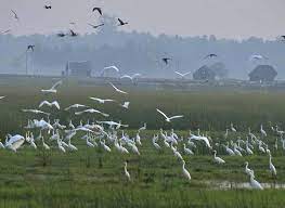 Kaliveli bird sanctuary