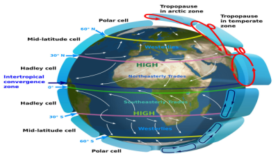 Local Winds (Introduction & Features)