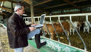 Livestock telemedicine