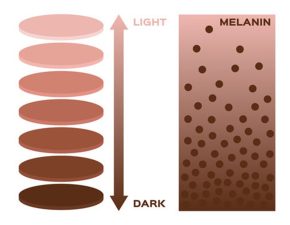Melanin