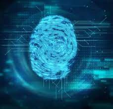 National Automated Fingerprint Identification System (NAFIS)