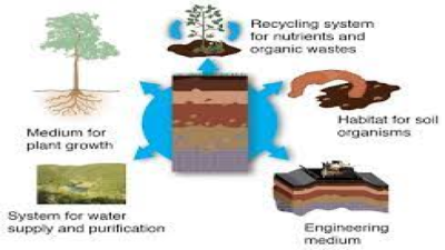 Nature of Soil