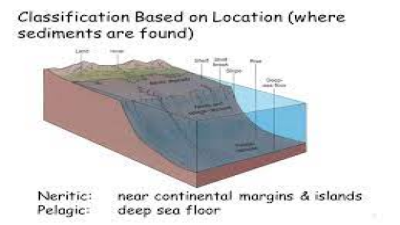 Neritic and Pelagic Deposits
