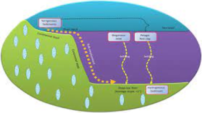 Ocean/Marine Sediments