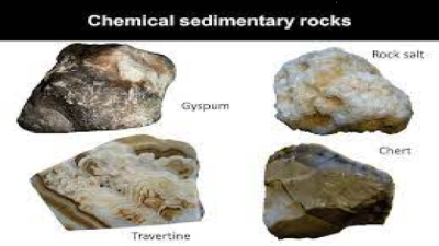 Other Sedimentary Rocks