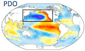Pacific Decadal Oscillation (PDO)