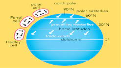 Polar Easterlies