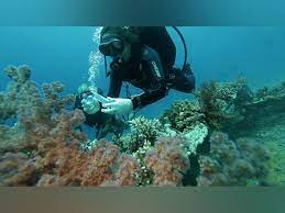 Deterioration of Eilat’s Red Sea coral reefs