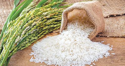 Rice Fortification