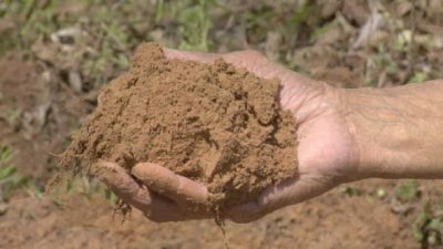 Silt Soil (Soil Type)