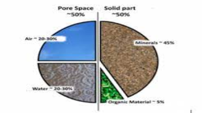 Soil Composition