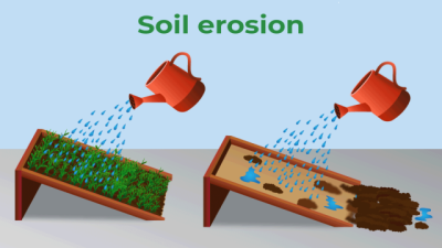 Soil Erosion