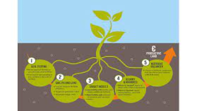 Soil Fertility