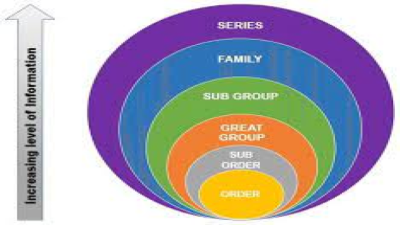 Soil Taxonomy