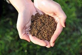 Soil Micronutrients and Human Health