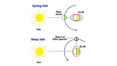 Spring Tides and Neap Tides
