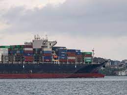 Importance of the Sulina Channel to Ukraine grain trade