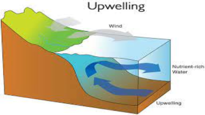 Surface and Deep Currents