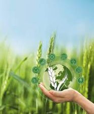 Sustainable agriculture