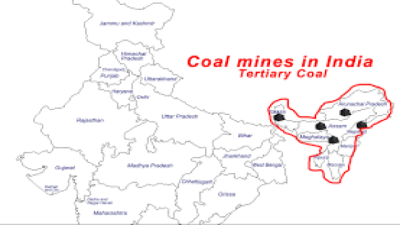 The Tertiary Coal Deposits of India