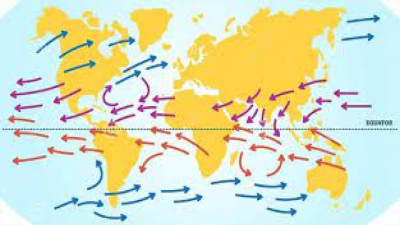 Trade Winds