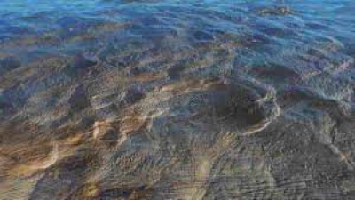 Types of Marine Sediments