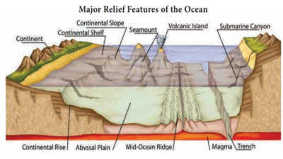 Types of Ocean Relief (Detailed)