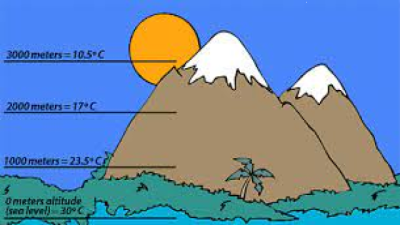 Types of Temperature Distribution (Horizontal and Vertical)
